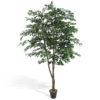 Ficus Baby 2600FL (árvore 1,80m) - verde