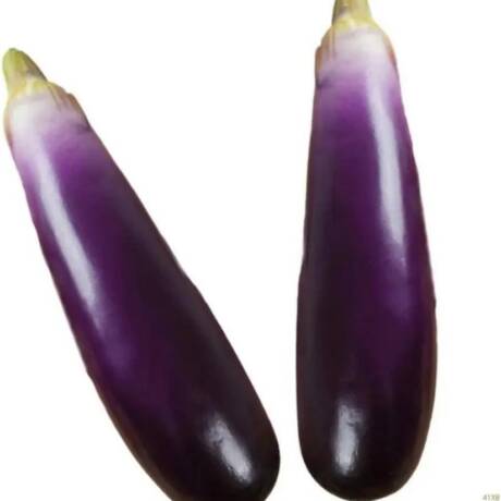 Berinjela Legume Artificial 6 unidades (21cm)