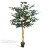 Ficus com tronco natural (árvore 1,50m) - new green