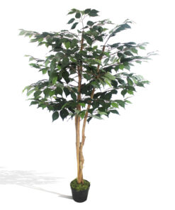 Ficus com tronco natural (árvore 1,50m) - new green