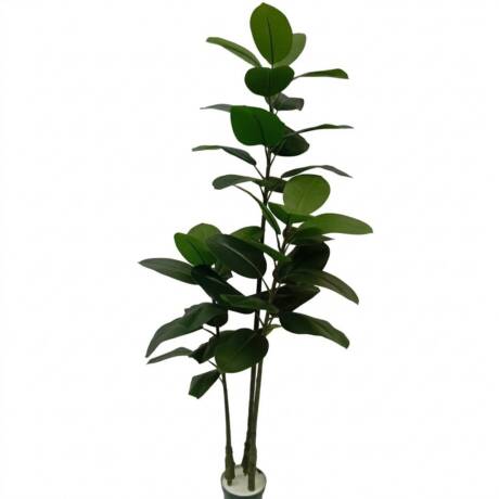 Ficus Elástica Verde 1,60m
