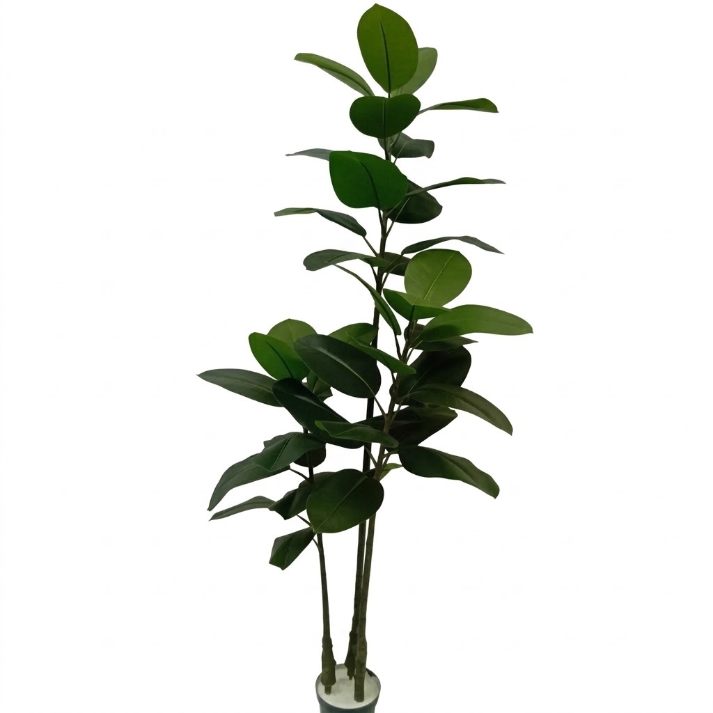 Ficus Elástica Verde 1,60m