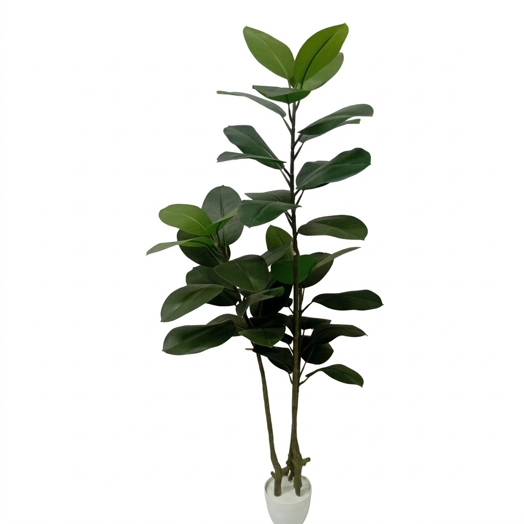 Ficus Elástica Verde 1,60m - Imagem 2