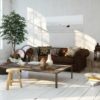 Ficus Verde Baby - Imagem 2