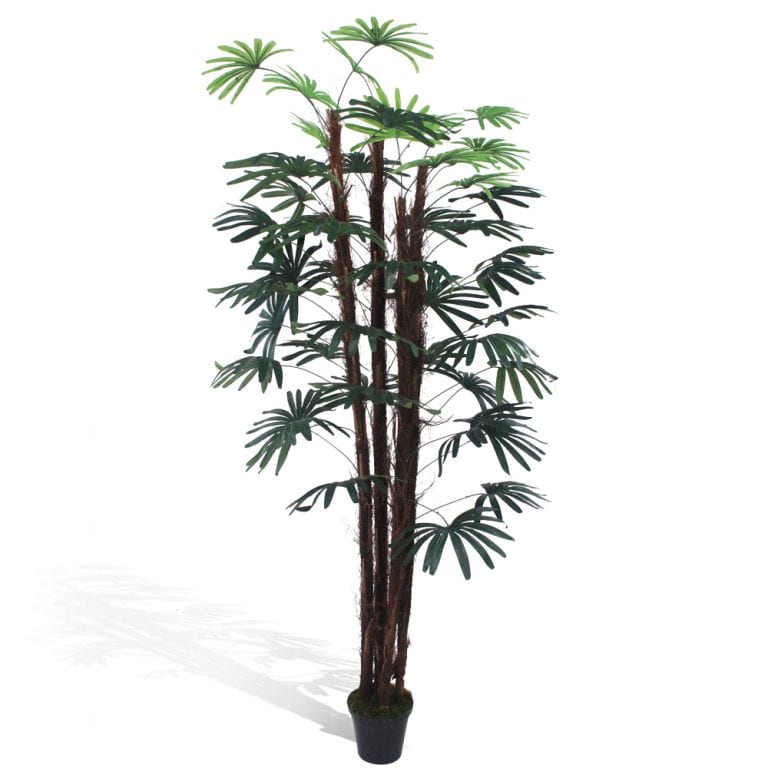 Palmeira Ráfia com tronco natural (árvore 1,80m) - verde