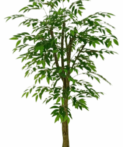 Rucus Árvore Semi-Artificial (1,80m)