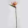 Strelitzia artificial (90cm)