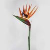 Strelitzia artificial (90cm) - Image 2