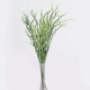 Capim Crespo (49cm)