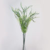 Capim Crespo (49cm) - Image 2