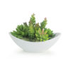 Sedum Suculenta Artificial Mini (10cm) - Image 2