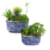 Rosa de Pedra Suculenta Artificial (14cm) com Araucaria Suculenta Artificial (13cm) em vaso cerâmico estilo português