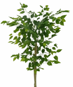 Ficus Verde 1,50m Semi-Artificial