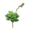 Rosa de Pedra com Broto (20cm)