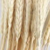 Trigo Desidratado para Artesanato (84cm) - Image 4
