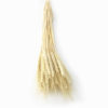 Trigo Desidratado para Artesanato (84cm) - Image 5