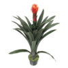 Bromélia Arbusto Artificial (90cm)
