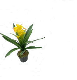 Bromélia em Silicone Planta Artificial (48cm)