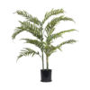 PALMEIRA ARECA CRESPA (1,40M)