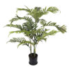 PALMEIRA ARECA CRESPA (1,40M)