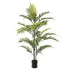 PALMEIRA ARECA CRESPA (1,90M)