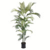 PALMEIRA ARECA REAL (1,80M)
