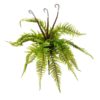 Samambaia Toque Natural 18F Folhagem Artificial Pendente (60cm)