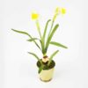 Vaso de Narciso Amarelo Artificial com 1 Bulbo (38cm)