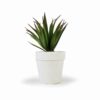 VASO AGAVE (18CM)