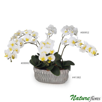 Arranjo de Orquídea Branca em Silicone em Vaso Cerâmica Silver Orquídea Borboleta Branca Flor Artificial em Silicone (57cm) em Vaso Cerâmica Silver Jardineira com aproximadamente 25 x 12,5 x 14 cm