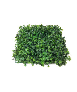 Placa de Buxinho Jardim Vertical Artificial (25x25cm)