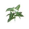 Cabeça de Cavalo Folhagem Artificial 9F (36cm) - Image 2
