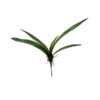 Folha de Orquídea Verde em Silicone com 5 Folhas (43cm)