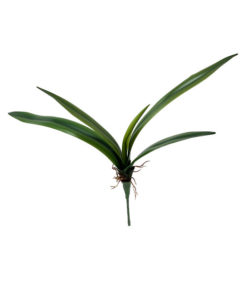 Folha de Orquídea Verde em Silicone com 5 Folhas (43cm)