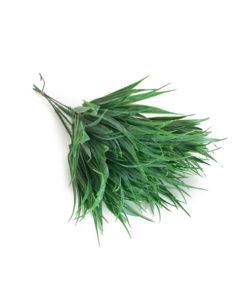 Capim Verde Pick Artificial 6H (26cm)