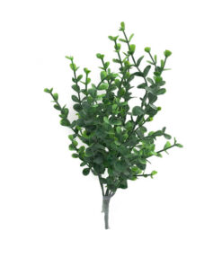 Buxinho Verde Mini Arbusto 5H (36cm)