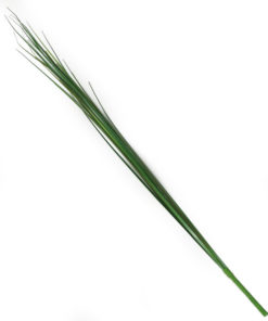 Capim Gigante Folhagem Artificial (103cm)