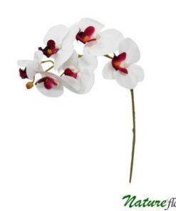 Phalaenopsis Branco/Vinho Galho Floral Artificial 6F (70cm)