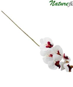 Phalaenopsis Branco/Vinho Galho Floral Artificial 6F (70cm)