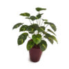 Jibóia Verde Arbusto Artificial (70cm)