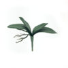 Folha Artificial de Orquídea com Raiz 4F (26cm)