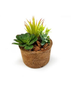 foto de vaso com suculentas artificial em vaso fibra coco