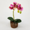 foto do Arranjo Floral Artificial de Orquídea Borboleta Rosa (40cm) em vaso fibra coco