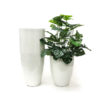 Vaso Dixie - Branco