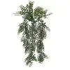 Samambaia Avenca Arbusto pendente (70cm)