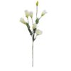 Lisianto Flor Galho Artificial (80cm) - creme