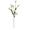 Lisianto Flor Galho Artificial (80cm) - creme