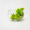 Vaso Vidro Redondo (18x12cm)