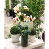 Orquídea Borboleta 3D 8FL Flor Artificial (80cm)