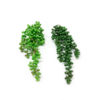 Colar-de-Pérolas Suculenta Verde Pendente Artificial (37cm)